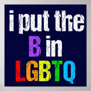Funny Bisexual LGBTQ Rainbow Spaß Zitat Poster