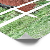 Funny Bison an der Covered Bridge Poster (Ecke)