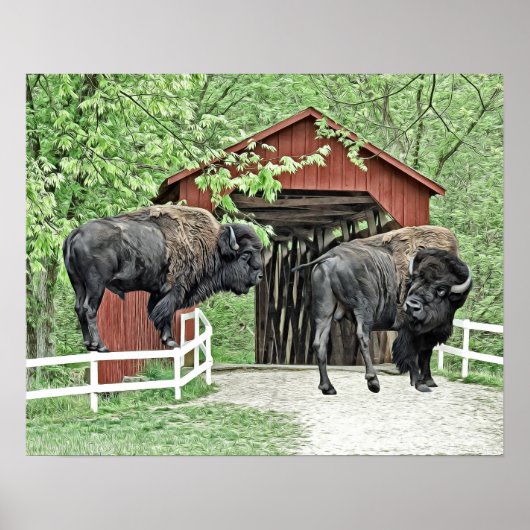 Funny Bison an der Covered Bridge Poster (Vorne)