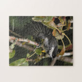 Funny Black Capped Chickadee mit einer Stretch Puzzle (Horizontal)