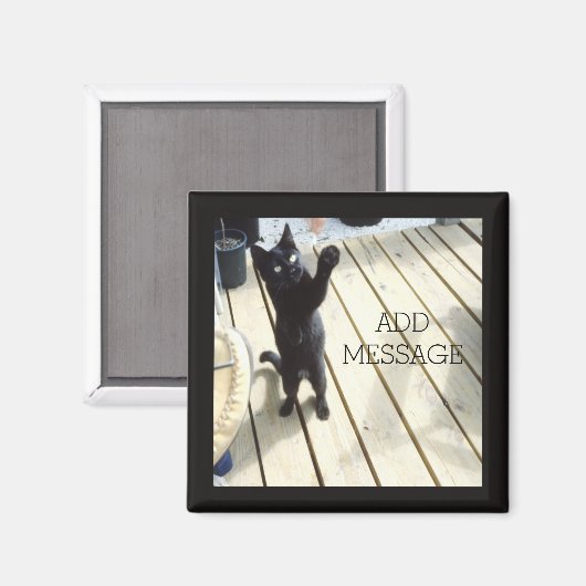 Funny Black Cat Swatt die Luft im Freien Magnet (Vorderseite/Rückseite)