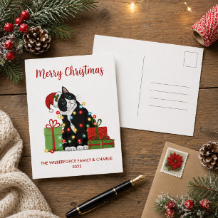 Funny Black Cat und Weihnachtslicht Weihnachten