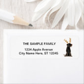 Funny Black Lab mit Rentier Antlers Weihnachten (Insitu)