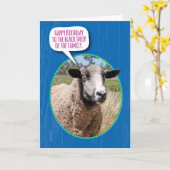 Funny Black Sheep of the Family Birthday Karte (Gelbe Blume)
