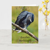 Funny black vulture birthday card karte (Gelbe Blume)