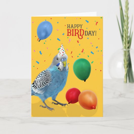 Funny Blue and White Budgie Parakeet Birthday Karte (Vorderseite)