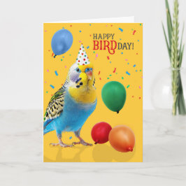 Funny Blue and Yellow Budgie Parakeet Birthday Karte