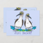 Funny Blue Footed Boobies Seevögel tanzen Cartoon Postkarte (Vorne/Hinten)