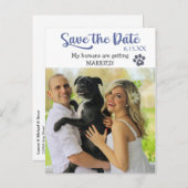 Funny Blue Text Rette das Hochzeitdatum mit Hund Postkarte (Vorne/Hinten)