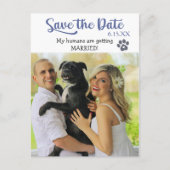 Funny Blue Text Rette das Hochzeitdatum mit Hund Postkarte (Vorderseite)