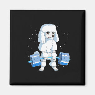 Funny Bodybuilding Poodle Dog Weightlift Men Wo Magnet