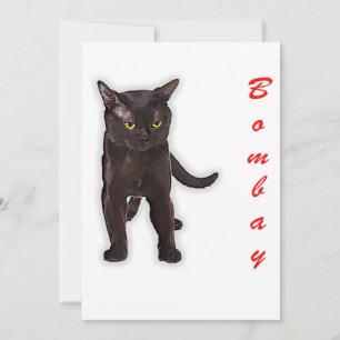 Funny Bombay Katze Japan Geschenk für Vater Mama B
