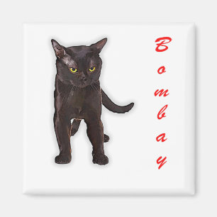 Funny Bombay Katze Japan Geschenk für Vater Mama B Magnet