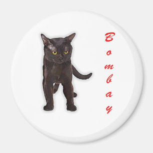 Funny Bombay Katze Japan Geschenk für Vater Mama B Magnet