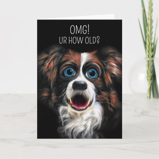 Funny Border Collie Cartoon Style Geburtstag Karte (Vorderseite)
