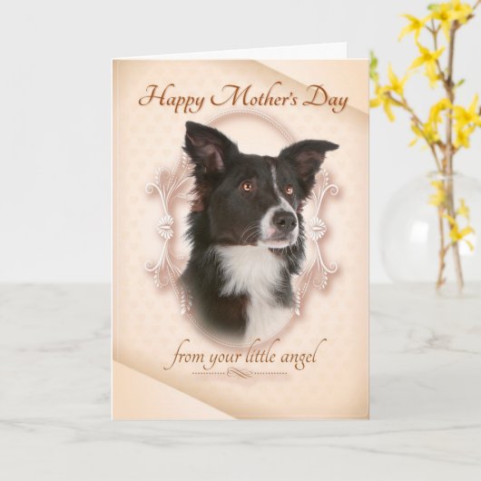 Funny Border Collie Day Card Karte (Gelbe Blume)