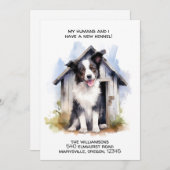 Funny Border Collie Dog Moving Ankündigung (Vorne/Hinten)