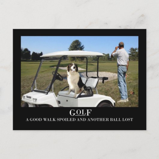 Funny Border Collie Dog Postcard, verlorener Ball Postkarte (Vorderseite)