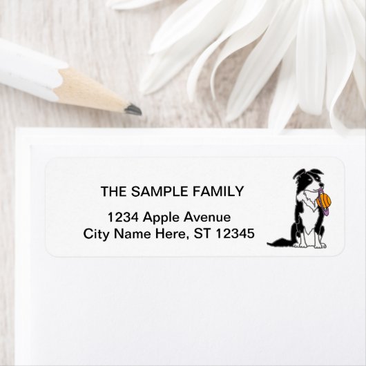 Funny Border Collie mit Saturn Disk (Insitu)