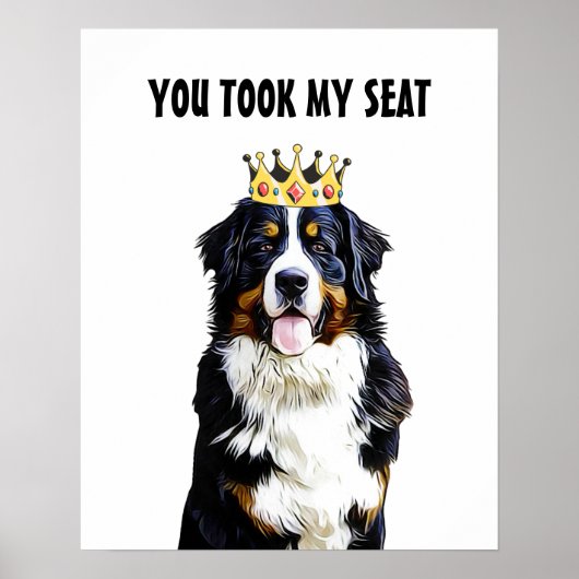 Funny Border Collie Stadtrundgang: Poster (Vorne)