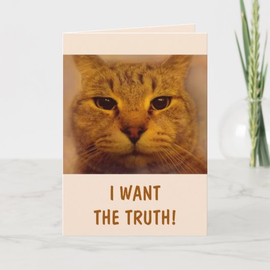 Funny Bossy Cat wird gut Karte (Vorderseite)