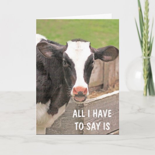 Funny Bossy Kuh wird gut Karte (Vorderseite)