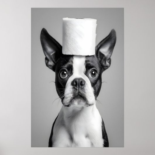 Funny Boston Terrier Bathroom Print, Toilet Paper Poster (Vorne)
