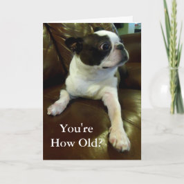Funny Boston Terrier Birthday Card (Tierrettung) Karte