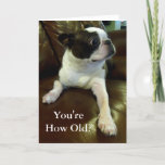 Funny Boston Terrier Birthday Card (Tierrettung) Karte<br><div class="desc">Diese Karte enthält einen bezaubernden Boston Terrier, der komisch schockiert ist, wenn es darum geht, Ihr Alter zu erfahren, und der perfekt für alle geeignet ist, die eine lustige Geburtstagskarte oder sogar eine Tagesdosis von niedlichen benötigen. Außerdem werden 5 % der Lizenzgebühren aus jedem Verkauf für Tierrettungen gespendet, sodass jeder...</div>