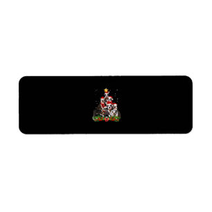 Funny Boston Terrier Dog Weihnachtsbaum Geschenk