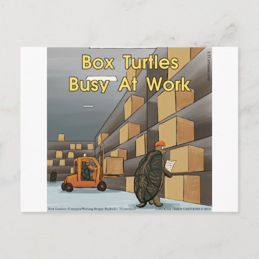 Funny Box Turtles bei der Arbeit Postkarte (Vorderseite)