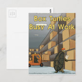 Funny Box Turtles bei der Arbeit Postkarte (Vorne/Hinten)