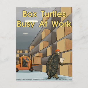 Funny Box Turtles bei der Arbeit Postkarte