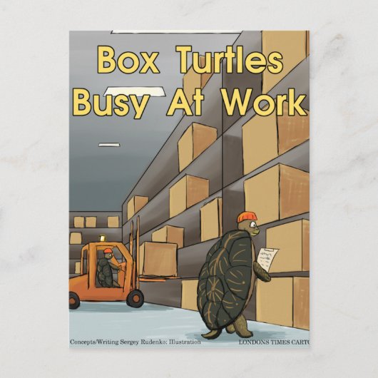 Funny Box Turtles bei der Arbeit Postkarte (Vorderseite)