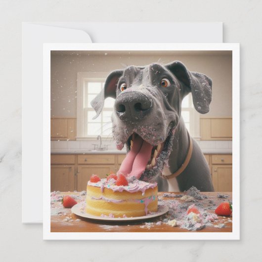 Funny Boxer card, Boxer Birthday Einladung (Vorderseite)