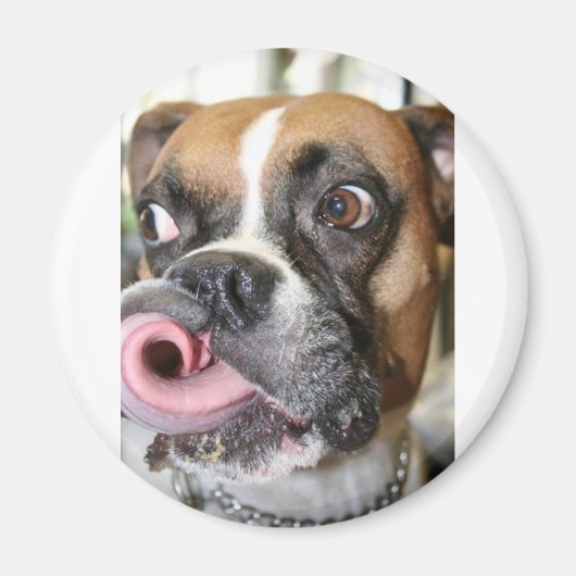 Funny Boxer Dog Magnet (Vorne)