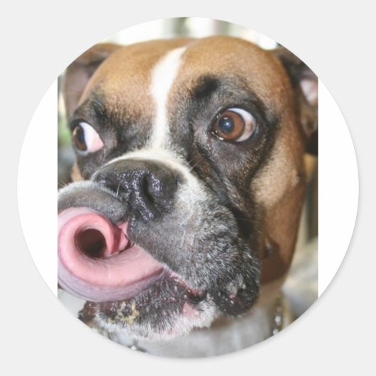 Funny Boxer Dog Runder Aufkleber (Vorderseite)