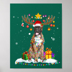 Funny Boxer Dog Weihnachtsfest T-Shirt ReindeWeihn Poster