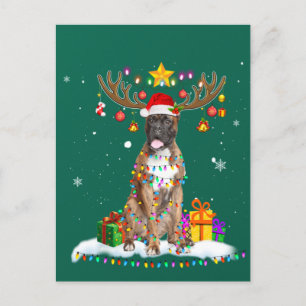 Funny Boxer Dog Weihnachtsfest T-Shirt ReindeWeihn Postkarte