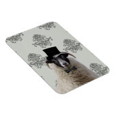 Funny Bridegroep Schafe im oberen Hut Magnet (Rechte Seite)