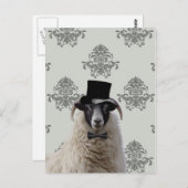 Funny Bridegroep Schafe im oberen Hut Postkarte (Vorne/Hinten)