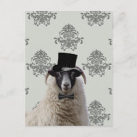 Funny Bridegroep Schafe im oberen Hut