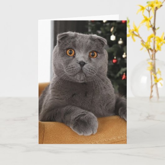 Funny British cat and christmas tree Karte (Gelbe Blume)