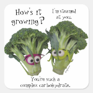 Funny Broccoli Talk Quadratischer Aufkleber