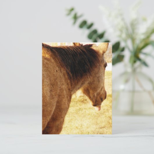 Funny Buckskin Postkarte (Stehend Vorderseite)