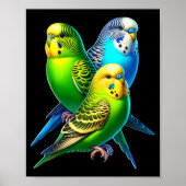 Funny Budgie Budgerigar Design Poster (Vorne)