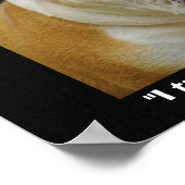 Funny Bull Dog Pet-Liebhaber Demotivationspopster Poster (Ecke)