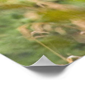 Funny Bull Moose Poster (Ecke)