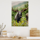 Funny Bull Moose Poster (Küche)