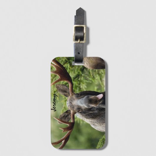 Funny Bull Moose Tongue Gepäckanhänger (Vorderseite Vertikal)